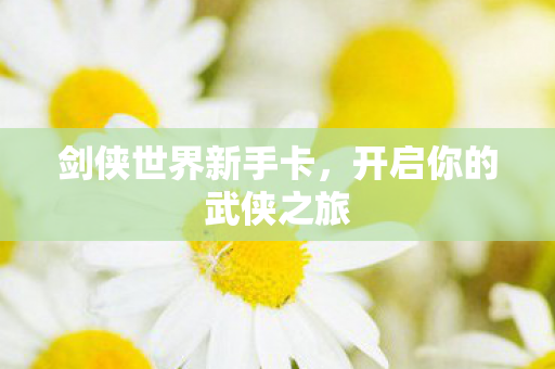剑侠世界新手卡，开启你的武侠之旅