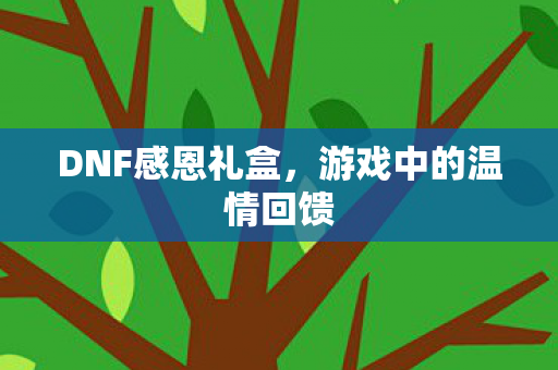 DNF感恩礼盒，游戏中的温情回馈