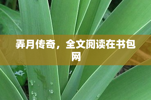 弄月传奇，全文阅读在书包网