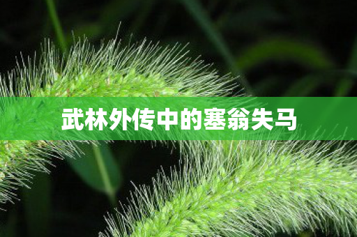 武林外传中的塞翁失马