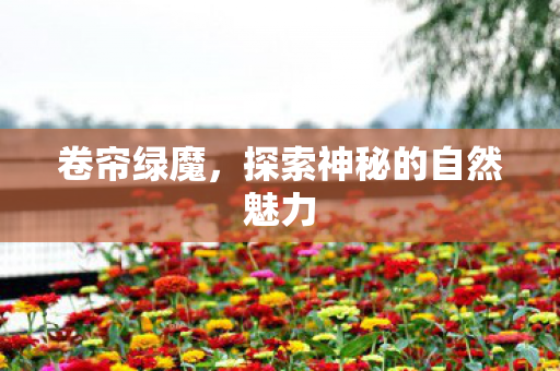 卷帘绿魔，探索神秘的自然魅力