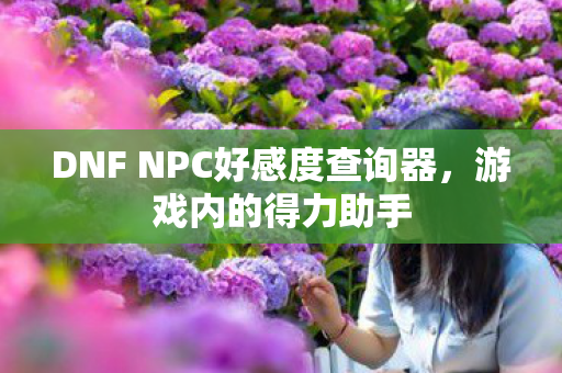 DNF NPC好感度查询器，游戏内的得力助手