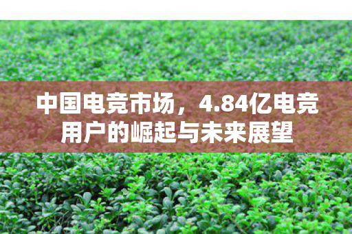 中国电竞市场，4.84亿电竞用户的崛起与未来展望