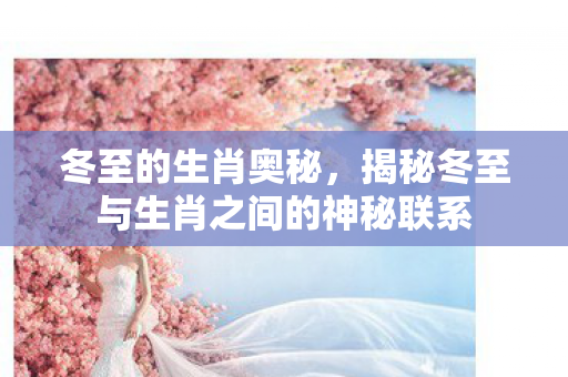 冬至的生肖奥秘，揭秘冬至与生肖之间的神秘联系