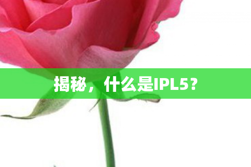 揭秘，什么是IPL5？