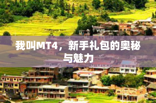 我叫MT4，新手礼包的奥秘与魅力