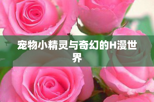 宠物小精灵与奇幻的H漫世界 宠物小精灵与奇幻的H漫世界