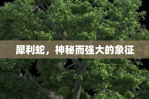 犀利蛇，神秘而强大的象征