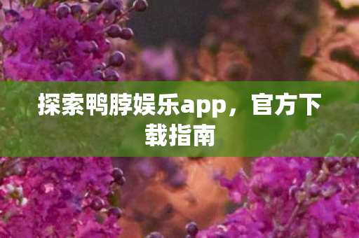 探索鸭脖娱乐app，官方下载指南