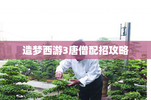 造梦西游3唐僧配招攻略