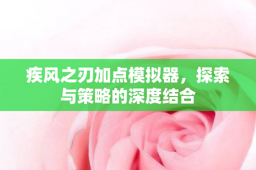 疾风之刃加点模拟器，探索与策略的深度结合