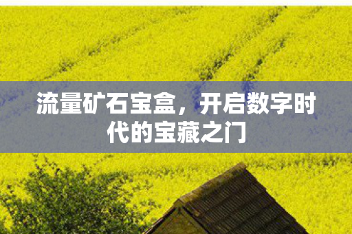 流量矿石宝盒，开启数字时代的宝藏之门