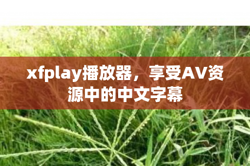 xfplay播放器，享受AV资源中的中文字幕