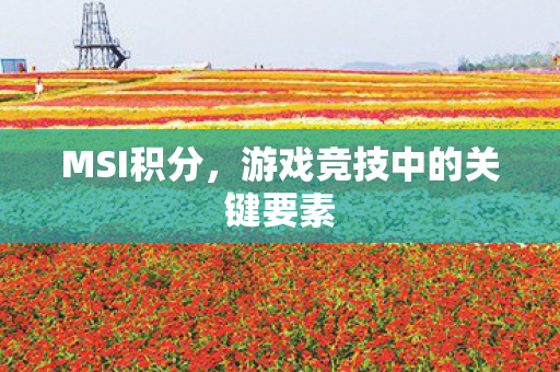 MSI积分，游戏竞技中的关键要素