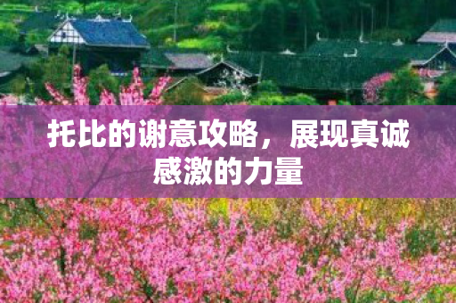 托比的谢意攻略，展现真诚感激的力量