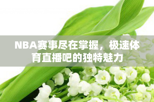 NBA赛事尽在掌握，极速体育直播吧的独特魅力