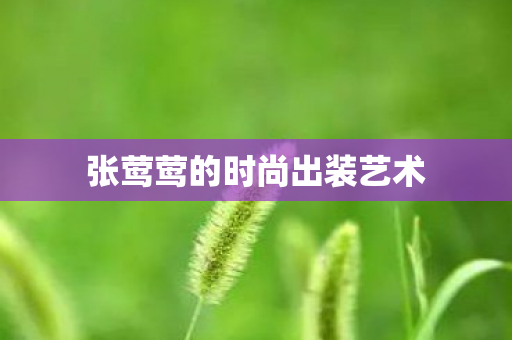 张莺莺的时尚出装艺术