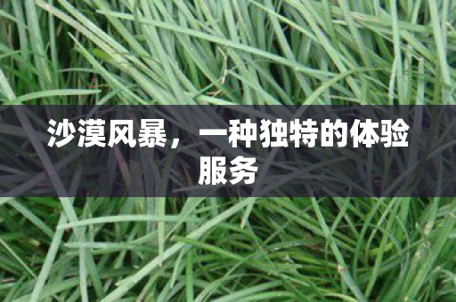 沙漠风暴，一种独特的体验服务