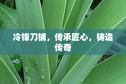 冷锋刀铺，传承匠心，铸造传奇