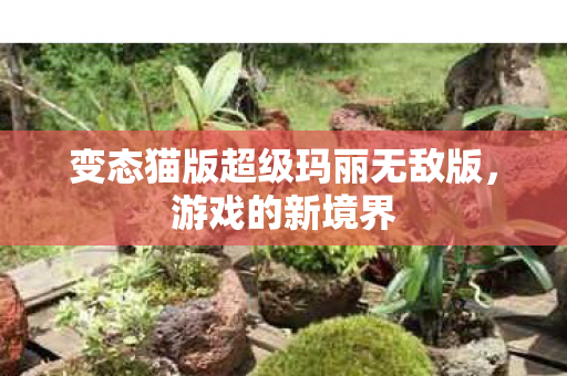 变态猫版超级玛丽无敌版，游戏的新境界