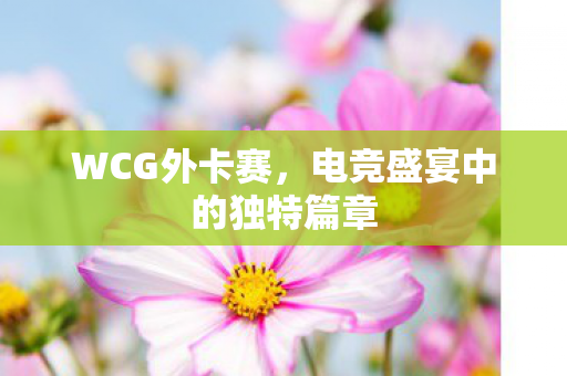 WCG外卡赛，电竞盛宴中的独特篇章