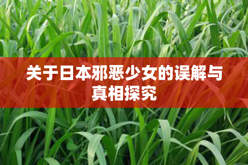 关于日本邪恶少女的误解与真相探究