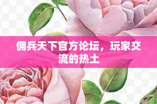 佣兵天下官方论坛，玩家交流的热土