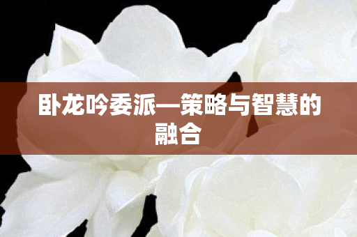 卧龙吟委派—策略与智慧的融合