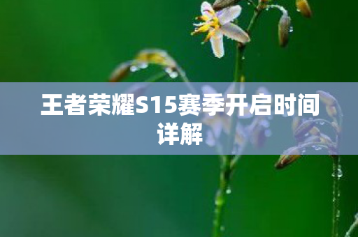 王者荣耀S15赛季开启时间详解