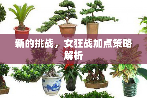 新的挑战，女狂战加点策略解析