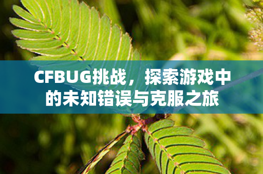 CFBUG挑战，探索游戏中的未知错误与克服之旅