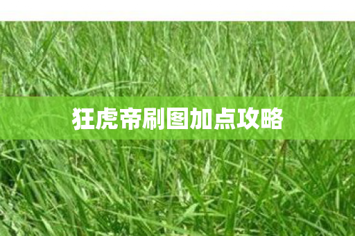 狂虎帝刷图加点攻略