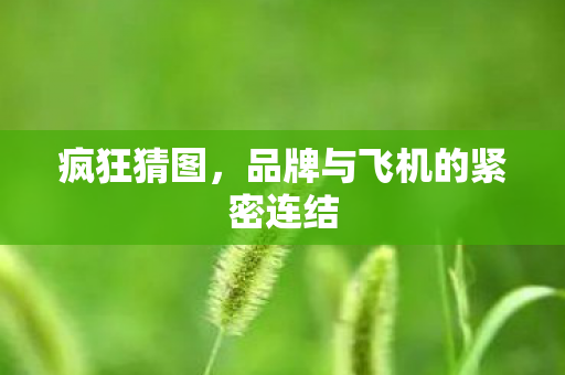 疯狂猜图，品牌与飞机的紧密连结