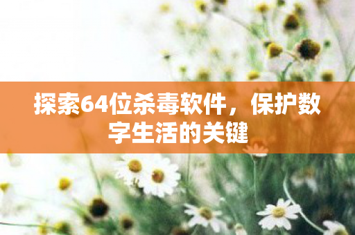 探索64位杀毒软件，保护数字生活的关键