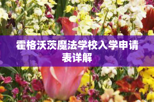 霍格沃茨魔法学校入学申请表详解