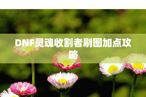 DNF灵魂收割者刷图加点攻略