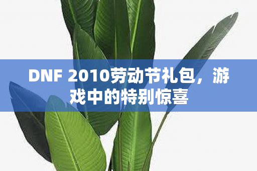 DNF 2010劳动节礼包，游戏中的特别惊喜