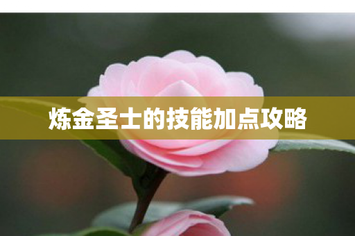 炼金圣士的技能加点攻略