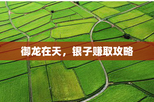 御龙在天，银子赚取攻略
