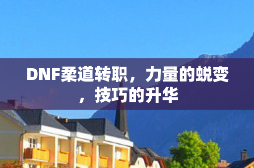 DNF柔道转职，力量的蜕变，技巧的升华