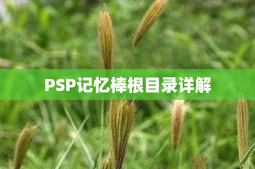 PSP记忆棒根目录详解
