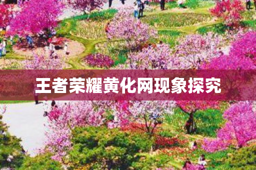 王者荣耀黄化网现象探究