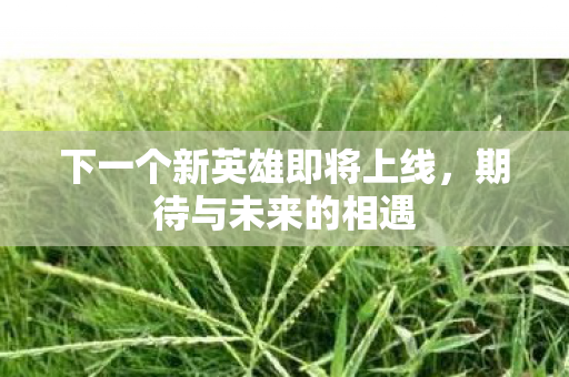 下一个新英雄即将上线，期待与未来的相遇