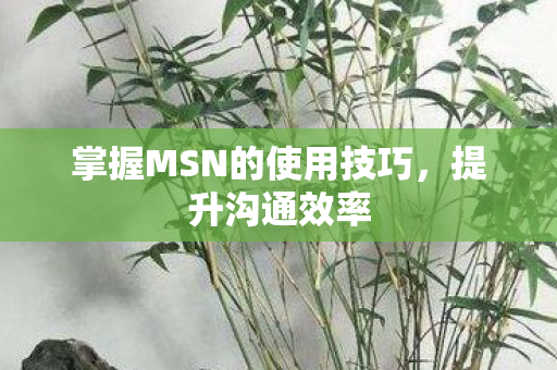 掌握MSN的使用技巧，提升沟通效率