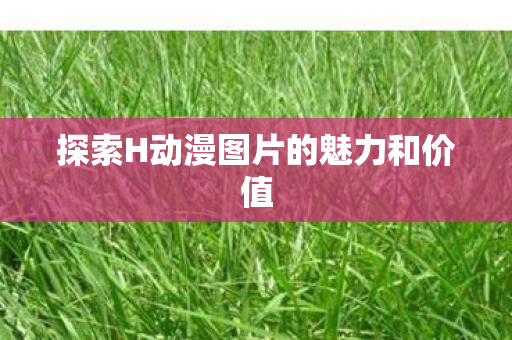 探索H动漫图片的魅力和价值