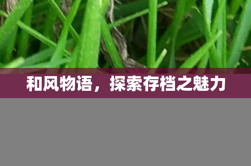 和风物语，探索存档之魅力