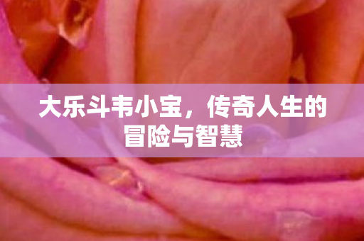 大乐斗韦小宝，传奇人生的冒险与智慧