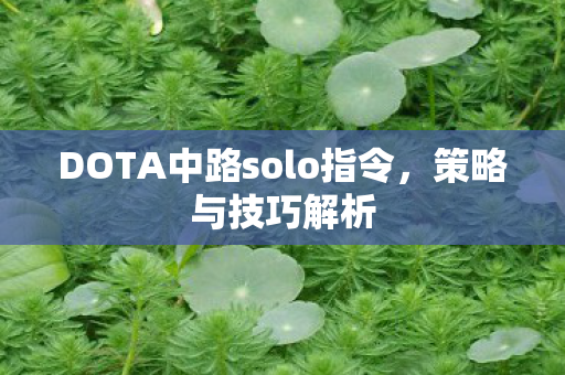 DOTA中路solo指令，策略与技巧解析