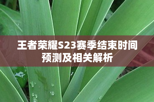 王者荣耀S23赛季结束时间预测及相关解析