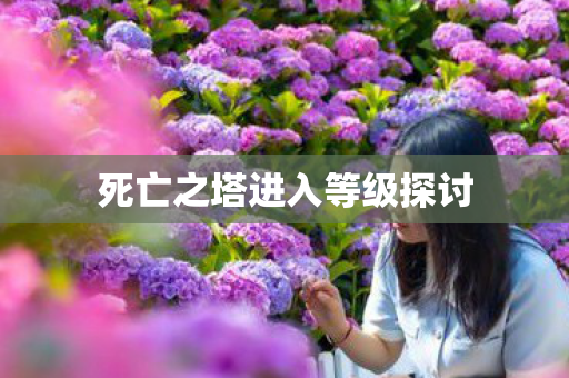 死亡之塔进入等级探讨